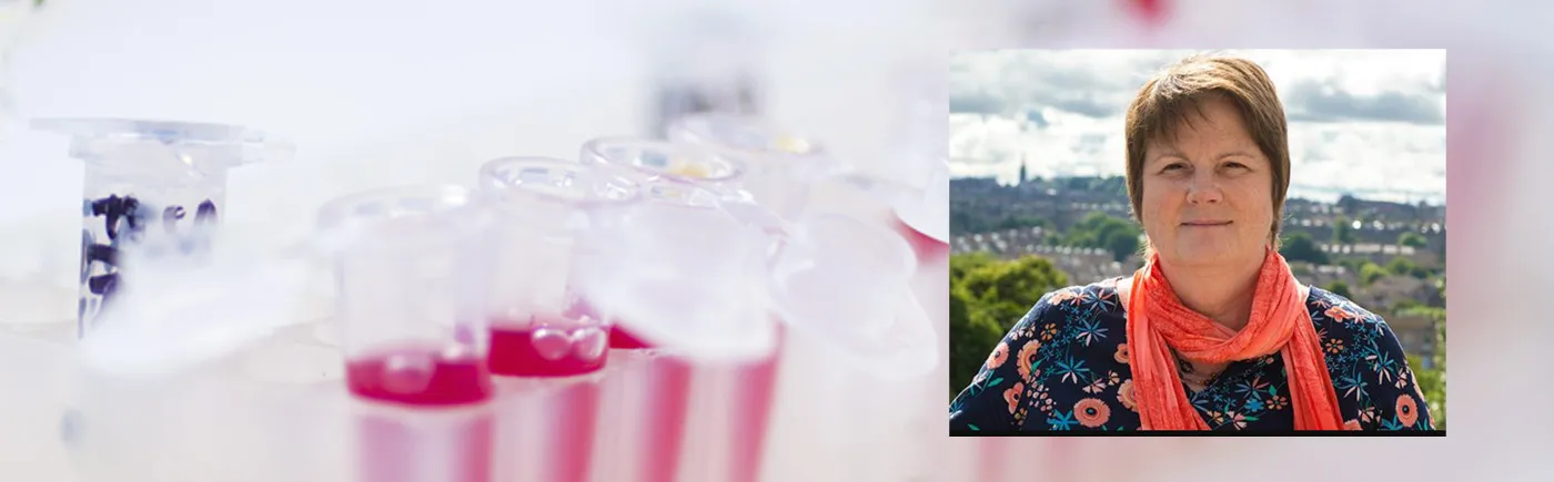 Professor Margaret Frame