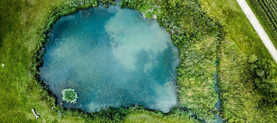 an aerial view of a lake and grass