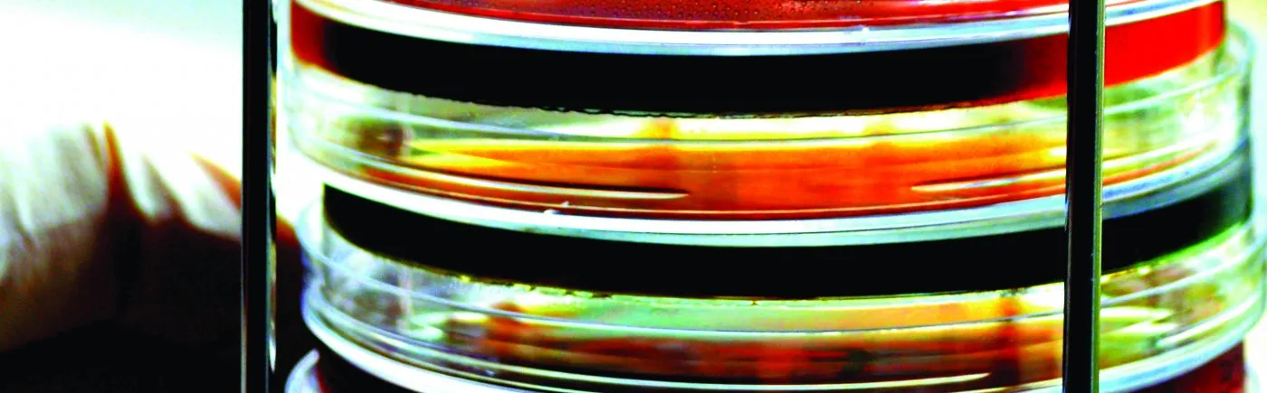 Quest for one health